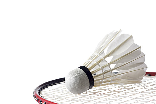 联赛中保持 联赛中保持